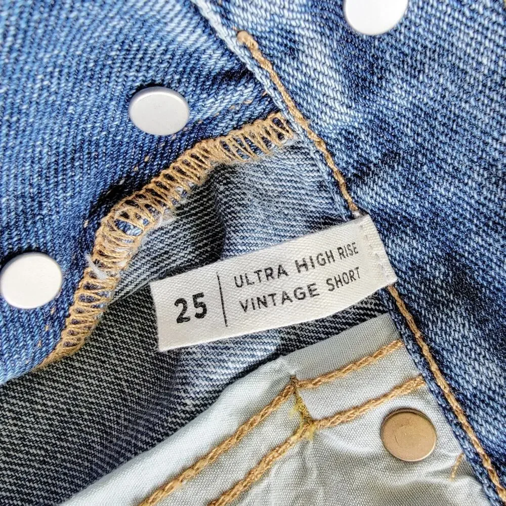 Pacsun Ultra High Rise Distressed Vintage Shorts
